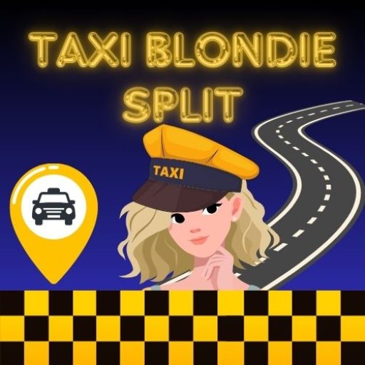 Pet frieendly taxi split pet friendly transfers split